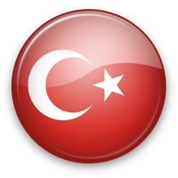 Türkçe